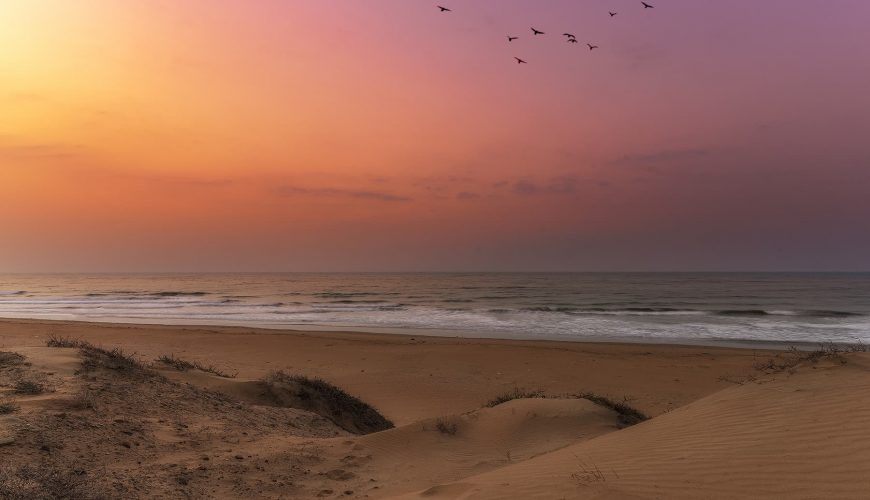 Ignite Your Travel Cravings