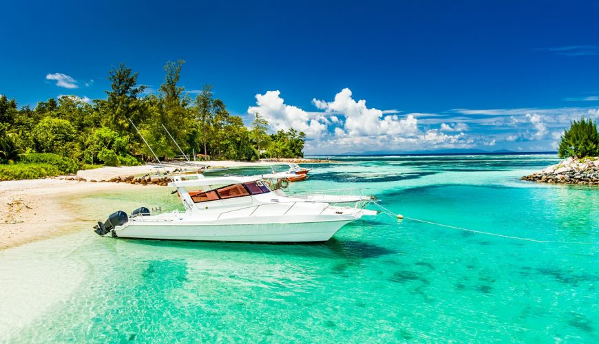 Ignite Your Travel Cravings