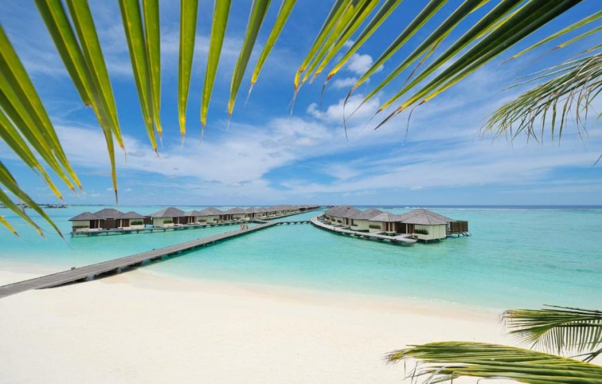 4 Days Maldives PARADISE ISLAND RESORT