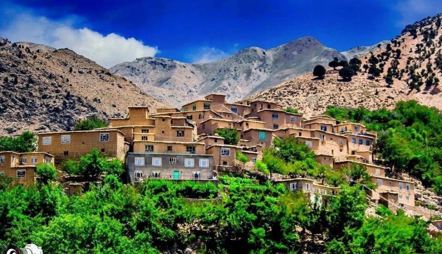 Ignite Your Travel Cravings