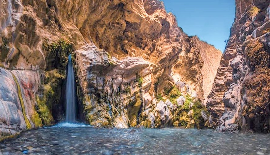 Ignite Your Travel Cravings