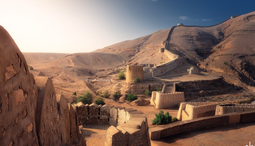 Ignite Your Travel Cravings