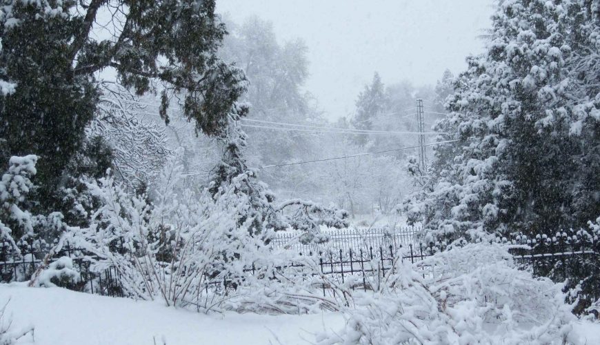 Ignite Your Travel Cravings