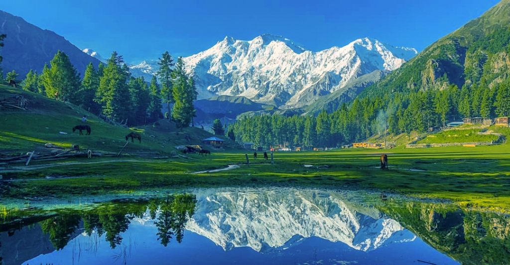 Fairy Meadows