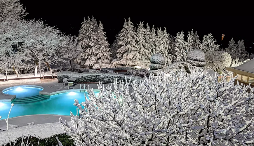 Ignite Your Travel Cravings